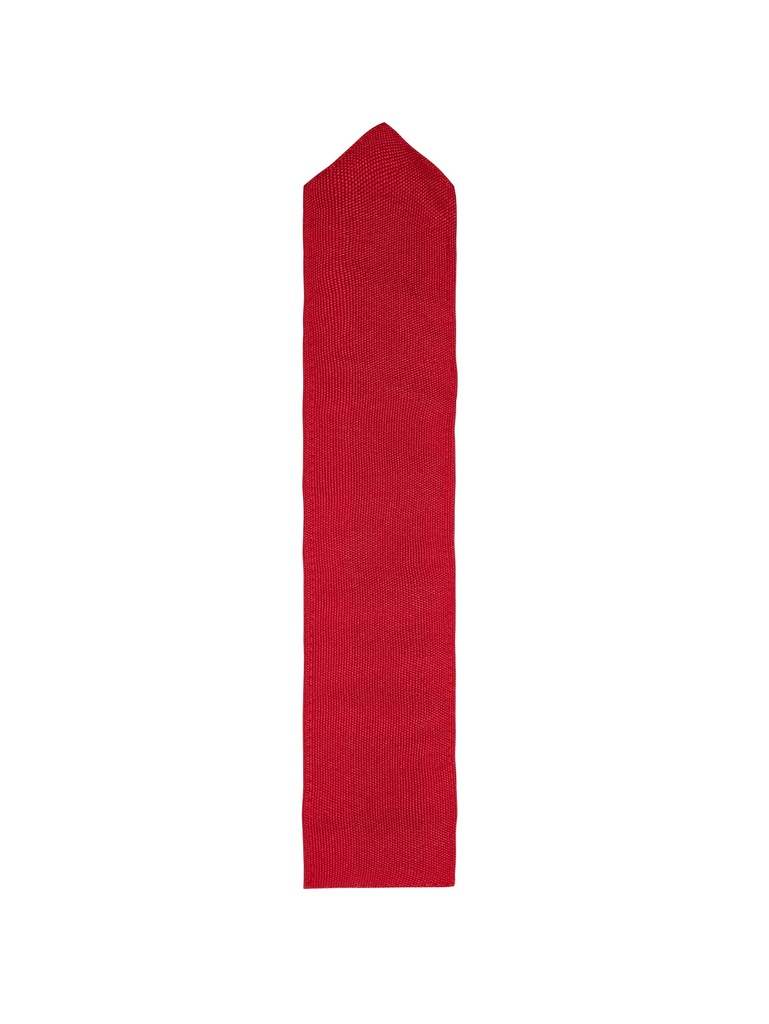 Korntex Zipper Patch suitable for all our Tactical Vests 5,8cm x 35cm - rot